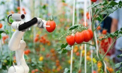 SAP y Syngenta sellan acuerdo para impulsar la agricultura con inteligencia artificial
